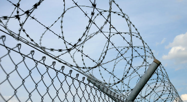 Widerhakensperrdraht, Natodraht